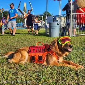 Willow hanging out at the annual Fire Prevention Carnival.